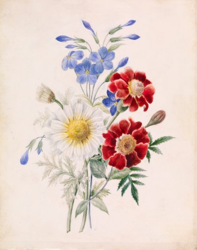 Bloemen en Witte Margriet, c.1840 door French School